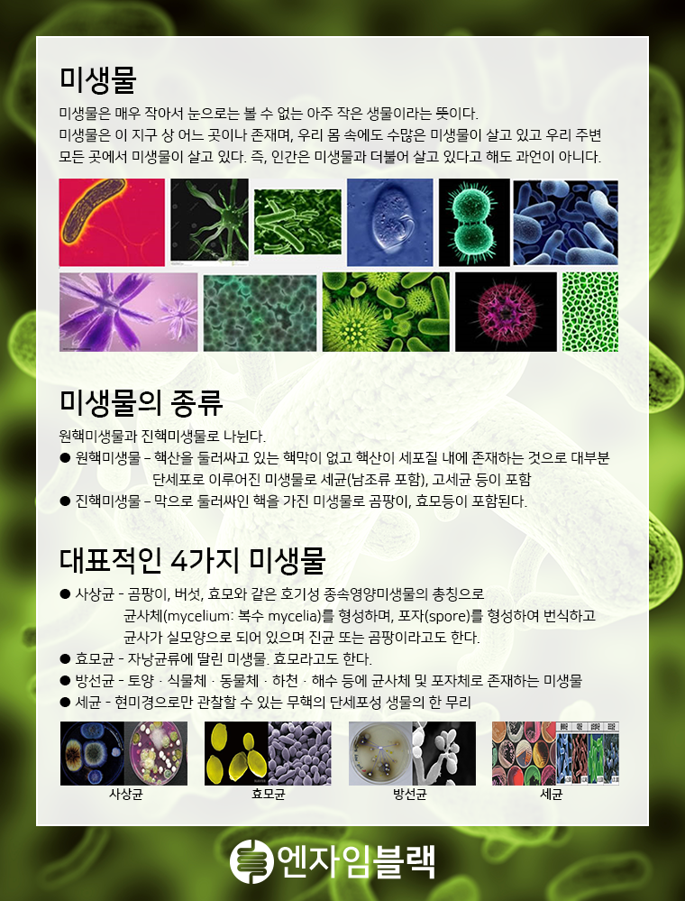 en_005.png